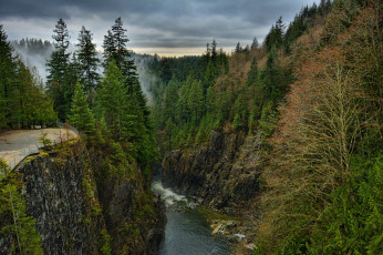 Картинка природа реки озера река лес