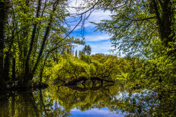 Картинка природа реки озера река лес