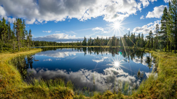 Картинка природа реки озера река лес