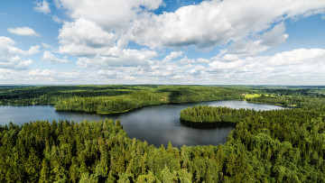 Картинка природа реки озера лес река