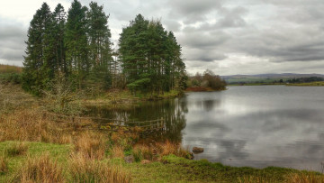 Картинка природа реки озера река лес