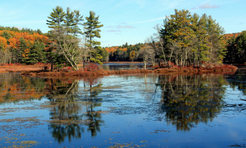 Картинка природа реки озера река лес