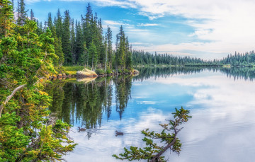 Картинка природа реки озера река лес