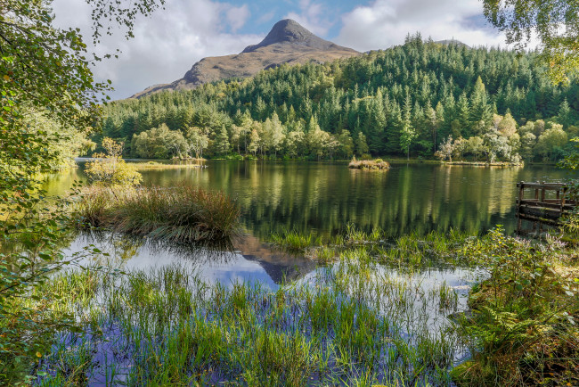 Обои картинки фото природа, реки, озера, река, лес