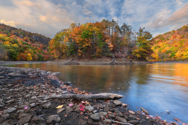 Обои картинки фото природа, реки, озера, река, лес