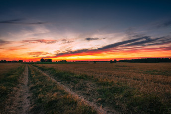 Картинка природа дороги простор