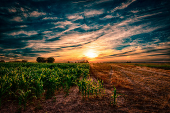 Картинка природа восходы закаты простор