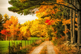 Картинка природа дороги простор