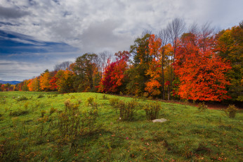 Картинка природа пейзажи простор