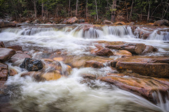 Картинка природа реки озера простор