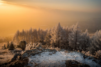 Картинка природа лес простор