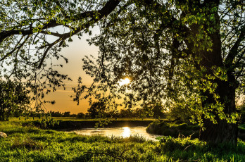 Картинка природа реки озера простор