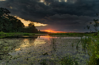 Картинка природа реки озера простор