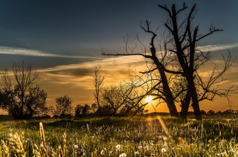 Картинка природа восходы закаты простор