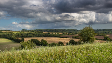 Картинка природа пейзажи простор