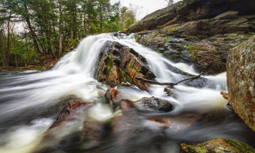 Картинка природа реки озера простор