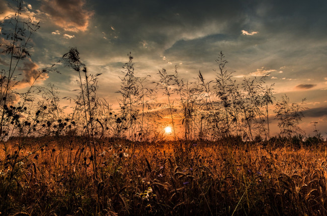 Обои картинки фото природа, восходы, закаты, простор