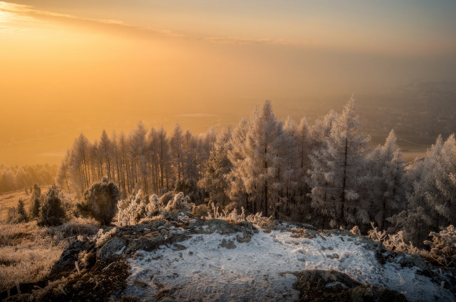 Обои картинки фото природа, лес, простор