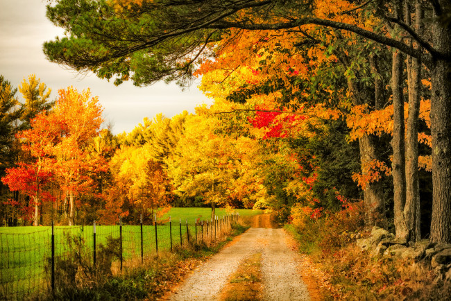 Обои картинки фото природа, дороги, простор