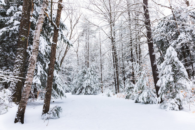 Обои картинки фото природа, зима, простор