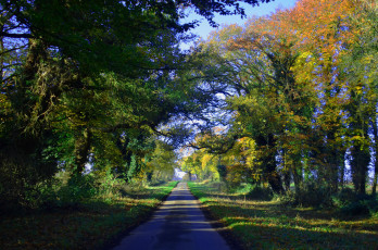 Картинка природа дороги простор