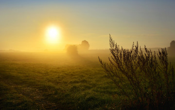 Картинка природа восходы закаты простор