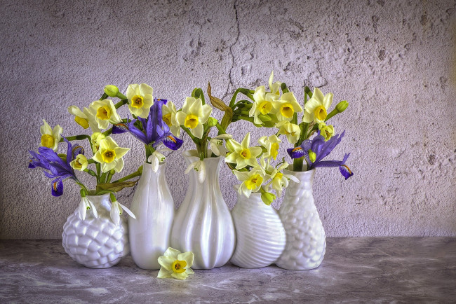 Обои картинки фото цветы, букеты,  композиции, нарциссы, ирисы