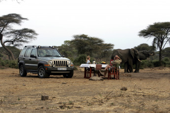 Картинка автомобили jeep