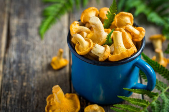 Картинка еда грибы +грибные+блюда лисички