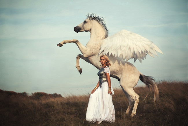 Обои картинки фото darya lefler, девушки, дарья лефлер, darya, lefler, пегас, крылья, белый, перья, красотка, конь, дарья, лефлер, cosplay, блондинка, девушка, модель, наряд, поза, макияж, причёска, взгляд