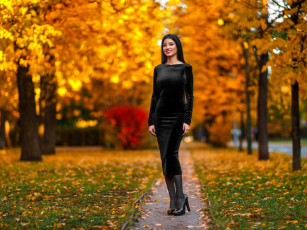 Картинка девушки -+брюнетки +шатенки брюнетка платье дорожка парк осень