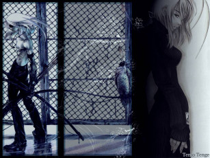 Картинка аниме tenjou tenge