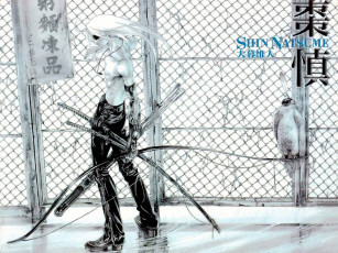 Картинка аниме tenjou tenge