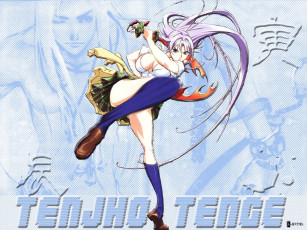 Картинка аниме tenjou tenge