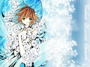 Картинка аниме tsubasa reservoir chronicles