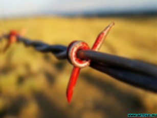 Картинка разное строительные инструменты запчасти механизмы