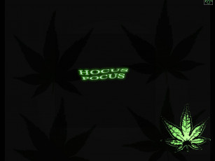 Картинка юмор приколы