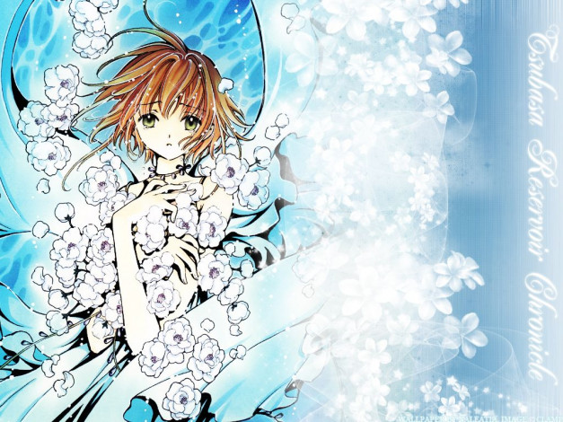 Обои картинки фото аниме, tsubasa, reservoir, chronicles