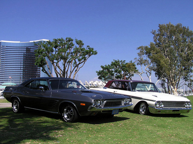 Обои картинки фото автомобили, разные, вместе