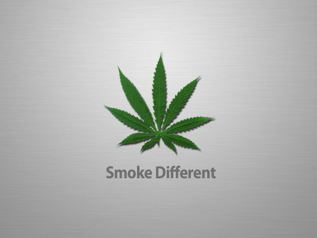 Обои картинки фото юмор, приколы