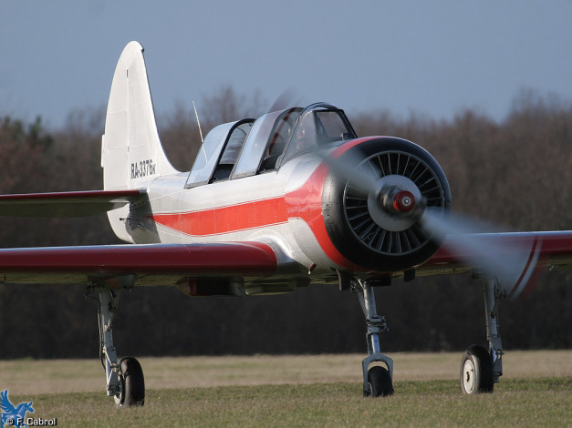 Обои картинки фото авиация, лёгкие, одномоторные, самолёты