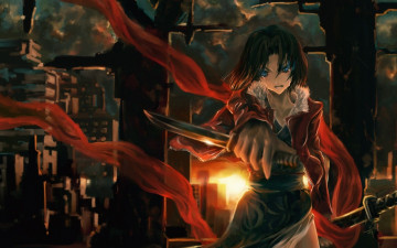 Картинка аниме kara no kyokai