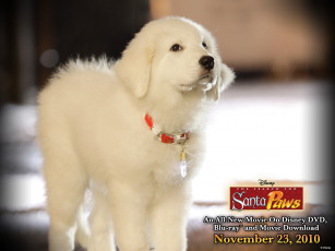 Картинка the search for santa paws кино фильмы