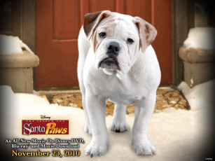 Картинка the search for santa paws кино фильмы