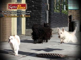 Картинка the search for santa paws кино фильмы