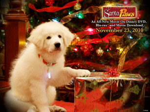 Картинка the search for santa paws кино фильмы