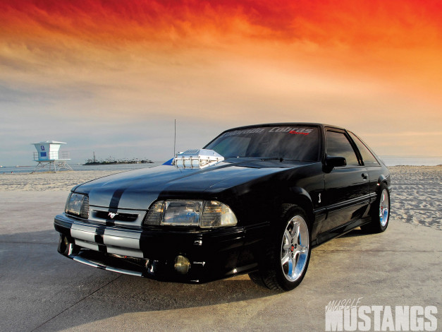 Обои картинки фото 1993, ford, mustang, cobra, автомобили
