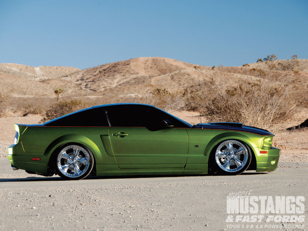 Обои картинки фото 2008, ford, mustang, gt, автомобили