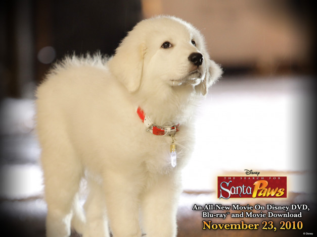 Обои картинки фото the, search, for, santa, paws, кино, фильмы