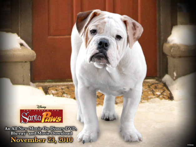 Обои картинки фото the, search, for, santa, paws, кино, фильмы